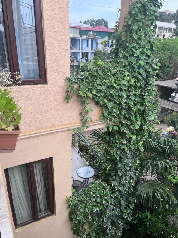 Guest House Madonna コブレチ エクステリア 写真
